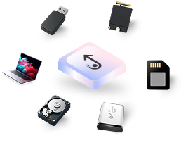 Stellar Data Recovery Software Interface